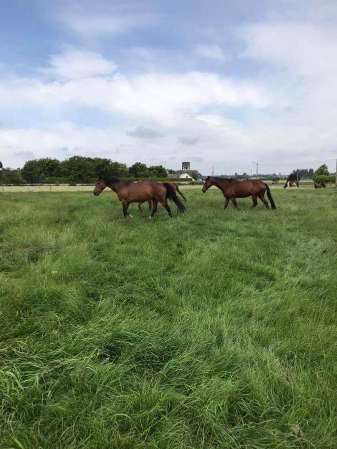 Ferme De La Forterie Verlinghem Eksteriør bilde