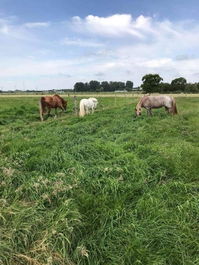 Ferme De La Forterie Verlinghem Eksteriør bilde